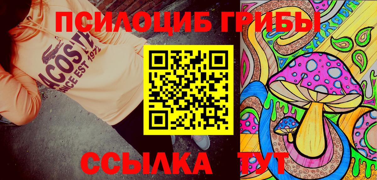 Бийск  Псилоцибиновые грибы Cubensis  Псилоцибиновые грибы GOLDEN TEACHER  где купить наркотик  Вход с VPN 