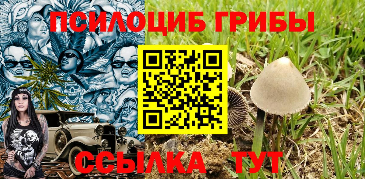 Псилоцибиновые грибы прущие грибы Бийск